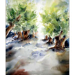 Olivenhain II 2013 (11) / Watercolour 30x40cm