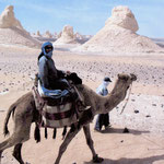Kameltrekking in der Weißen Wüste (Ägypten)