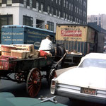 New York 41