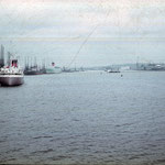 New York 86