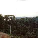 Liberia 13