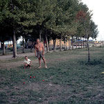 Urlaub & zuhause 09