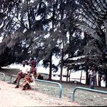 Ivory Coast 30