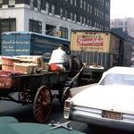 New York 41