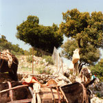 Urlaub & zuhause 127