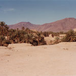 Urlaub & zuhause 104