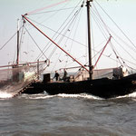 Niederlande 27