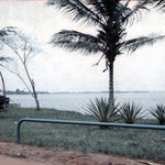Ivory Coast 31