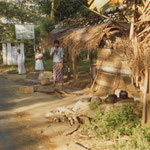 Urlaub & zuhause 155