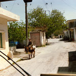 Urlaub & zuhause 114