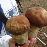 toujours regarder sur les côtés 