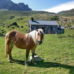 Les cabanes occupées par des passionnés très sympas