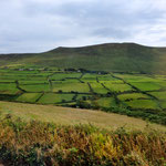 Typische irische Landschaft, Ring of Kerry