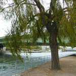 Am Ufer der Seine