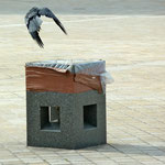 Der Besucher