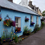 Souvenirladen in Dingle