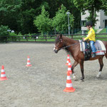 und schließlich durch den Parcours reiten