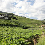Vor Bozen