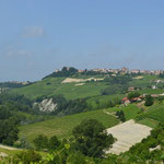 Mitten im Weingebiet - Barolo