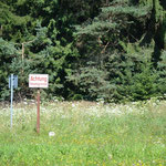 Entlang der Grenze