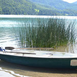 Am Fuschlsee