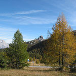 Herbst in Südtirol.