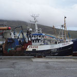 Hafen in Ullapool
