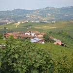 Blick zu den Weinbergern