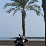 San Remo - Motorrad unter Palmen