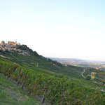 Tolle Landschaft