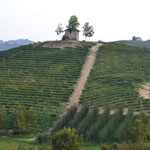 Weinberg