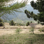 Blick vom Monte Stino ins Tal