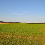 Unbegrenzter Ausblick