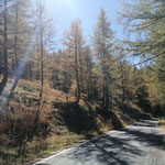 Herbststimmung am Col de la Lombarde