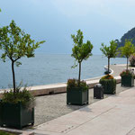Riva del Garda