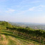 Durch die Weinberge