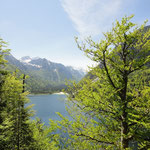 Predilsee