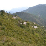 Col de Turini