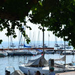 In Garda