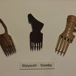 先住民族の髪の毛をとかすクシ（博物館にて展示）