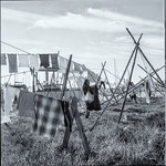 Porto Argentique Veronique Evrard