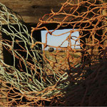 Carole Sharp