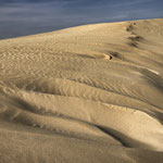 Anne Willmott - Parque Natural Corralejo Dunas