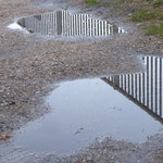 Anabela Kenworthy - Striped Puddles
