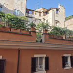 Blick aus unserem Fenster der Ferienwohnung