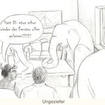 15. Kalenderwoche