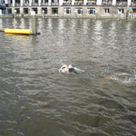 Alsterwasser mal anders
