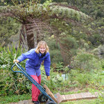 Wwoofing at the Wentworth Falls