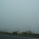 Very foggy....Can you imagine the surrounding?