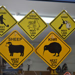 There are also traffic signs in New Zealand, but they look a little bit different than those in Australia